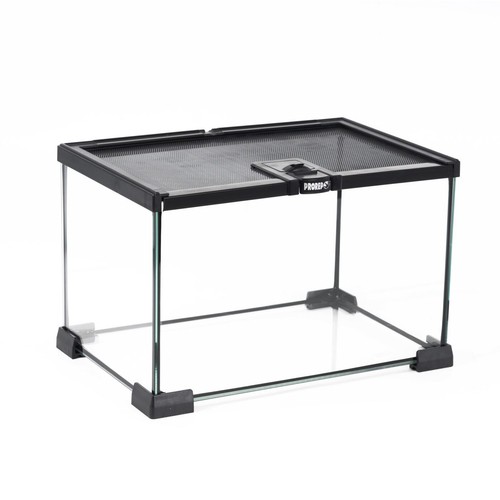 Prorep mini terrarium glass - mini,