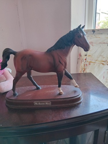 Beswick bay quarter horse - beswick, on