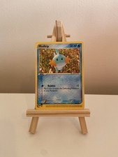 Mudkip 59/109 Pokémon Card -