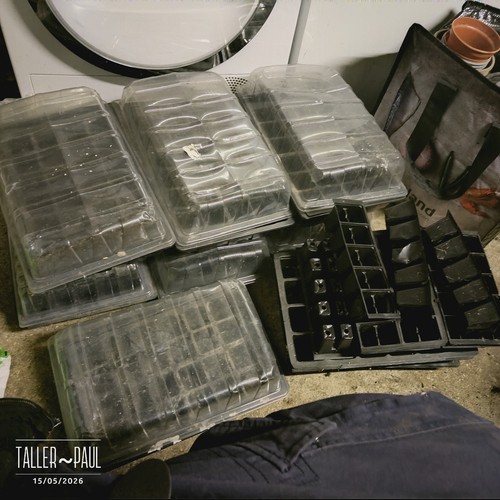 Propagator bundle seed - propagator, “seed