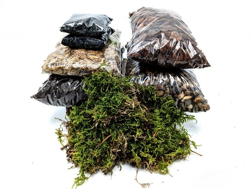 Diy large terrarium starter - diy,