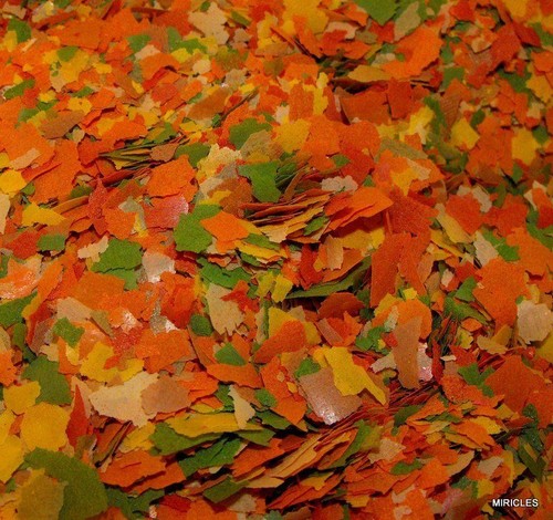 Pond fish flakes - pond, flake