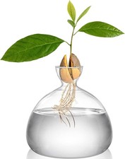 Hiceeden Avocado Seed Starter