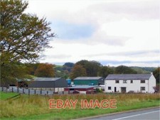 PHOTO  MURTHAT PLANTATION