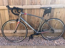 Specialized dolce women - specialized, women's