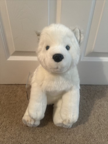 Lapland lumi husky - uk, dog