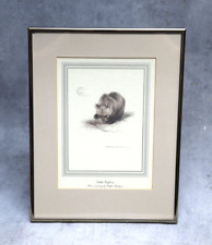 RARE Vintage Ralph Thompson Little Explorer Royal Publications Quality Frame