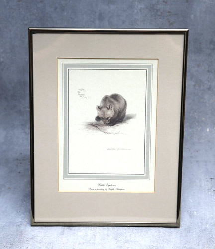 Rare vintage ralph thompson - rare,