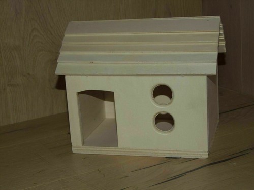 Hamster house rodent - hamster, house,