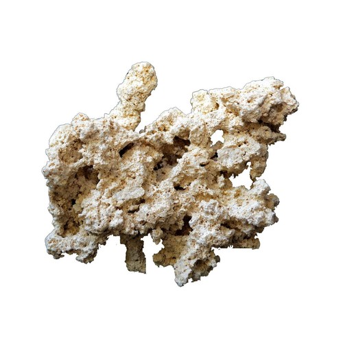 Dry ocean reef rock - reef, 9-12cm