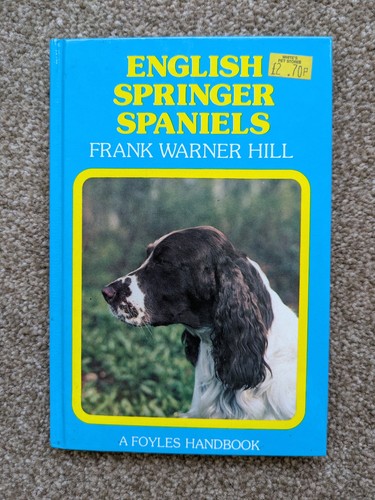 English springer spaniels - springer,