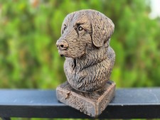 Leonberger Bust