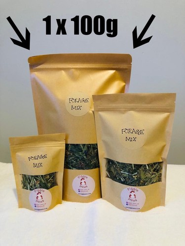 Forage mix for guinea pigs - mix,