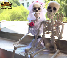 Human Skeleton Bones Real 40cm