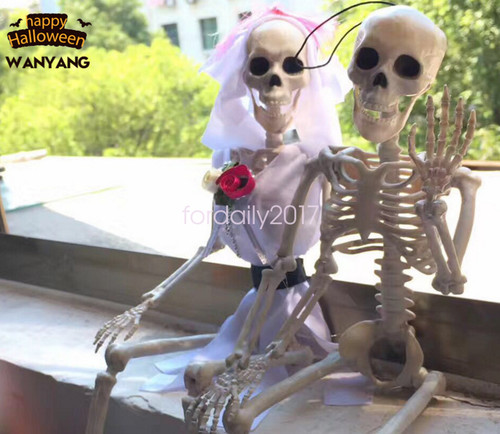 Human skeleton bones - skeleton, 40cm
