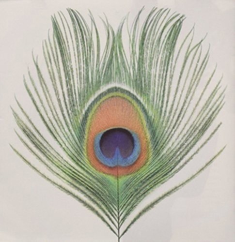 Wasp star - wasp, vol.