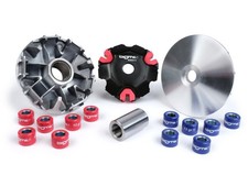 BGM Pro Variator Kit for Vespa Primavera, Sprint 125ie 3V