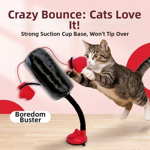 Scratch trainer cat - scratch,