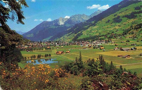 Lenk simmental panorama - simmental, be