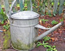 A Vintage Galvanised Water Can