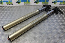 Ducati Multistrada 1200 Forks