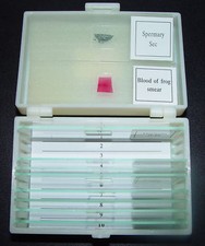 Prepared microscope slides - 10,