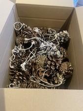 JUMBO BOX of Different Pine