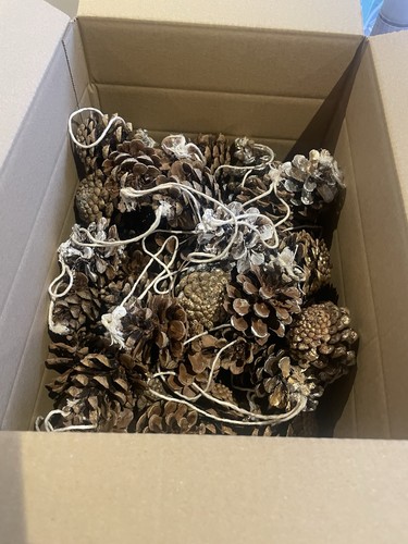 Jumbo box different - box, pine