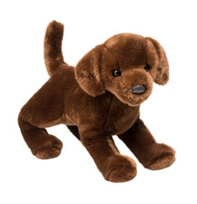Douglas Dog Cocoa Chocolate