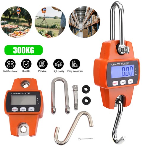 Mini crane scale - crane, 300kg