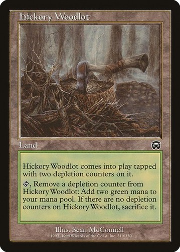 Hickory woodlot mercadian - hickory,