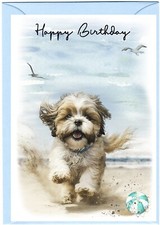 Lhasa Apso Dog Birthday Card  (4"x 6") - blank inside - by Starprint