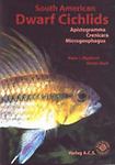 South american dwarf cichlids - south,