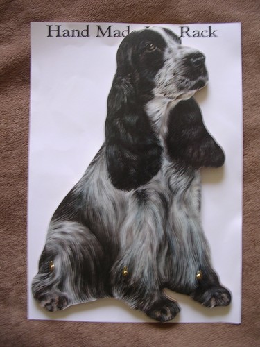 Blue roan cocker - roan,