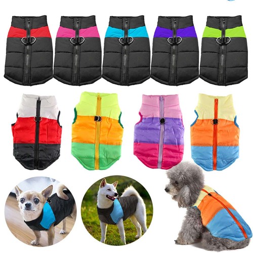 Winter pet vest jacket warm - winter,