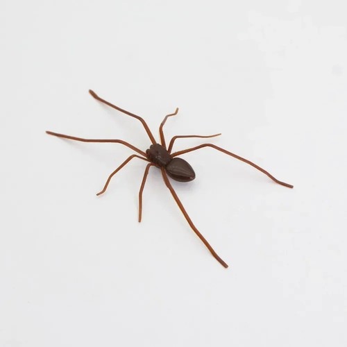 Realistic spider magnet for - spider,
