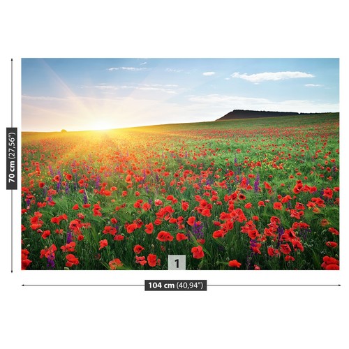Non woven wall mural photo - woven,