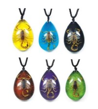 Chinese Golden Scorpion