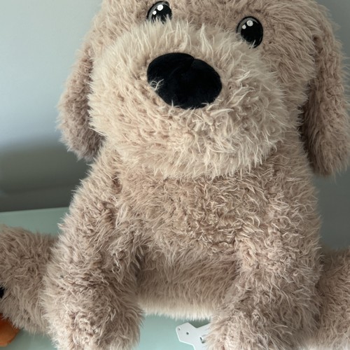 Morrisons large floppy dog - large,