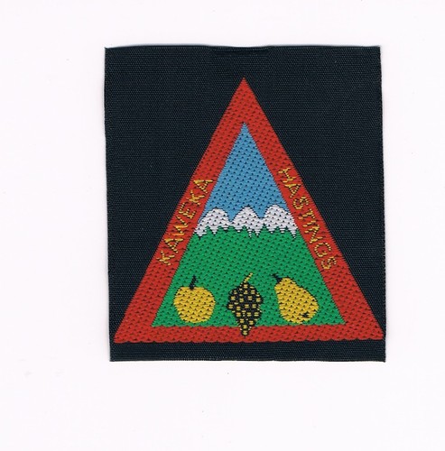 Scout badge new zealand - scout,