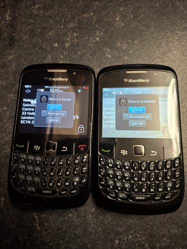 Blackberry curve - 2x,