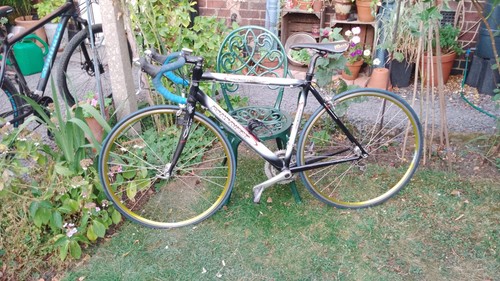 Two vintage racing bikes a - racing, at