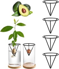 4 Pcs Avocado Growing Kits