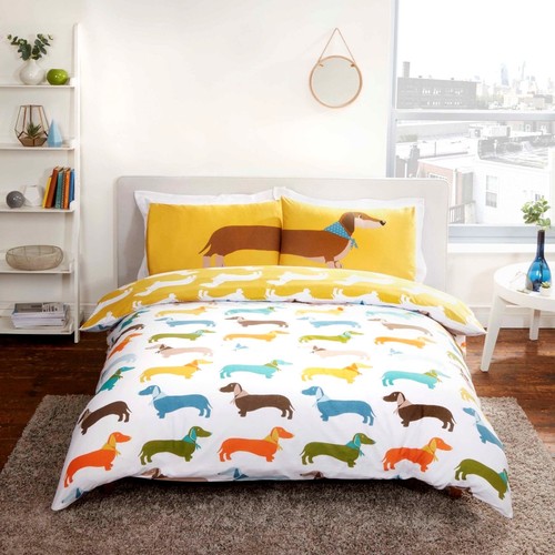 Dachshund sausage dog - dachshund,