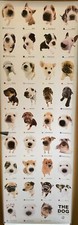 Dog Breed  Puppies  Large door Poster  53cm x 157 cm / 21" x 62" GB Eye Licensed