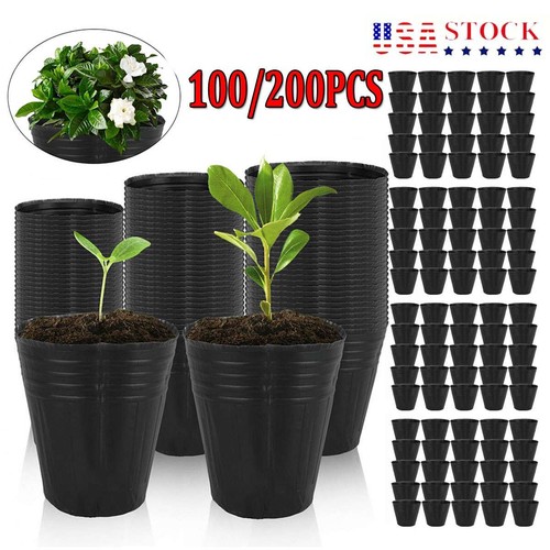 100 200 plastic plant flower - plastic,