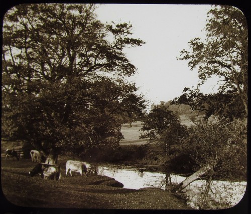 Glass magic lantern slide - magic,