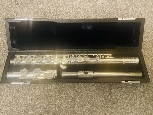 Flute musical instrument - flute,