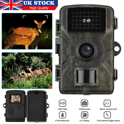 1080p wildlife trail camera - wildlife,