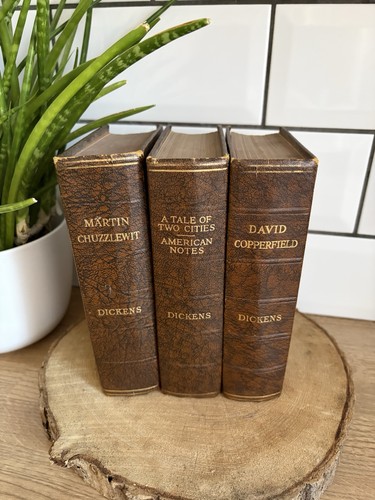 Dickens books odhams press - books,